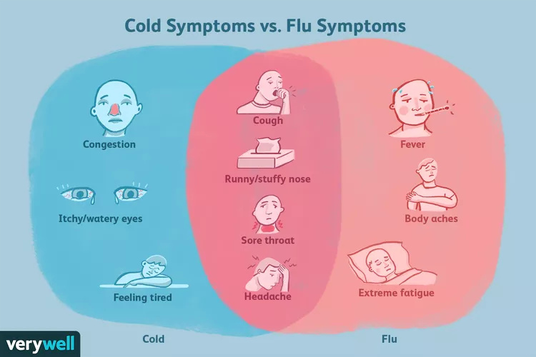 感冒和流感的区别-网络宝藏