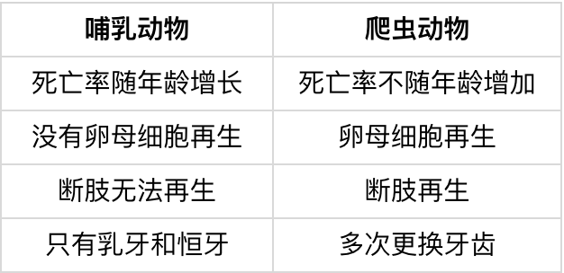 科学续命指南｜大象公会