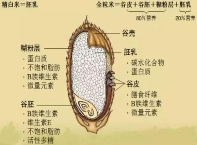 到底什么是垃圾食品