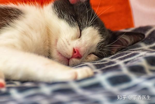 为什么要早睡