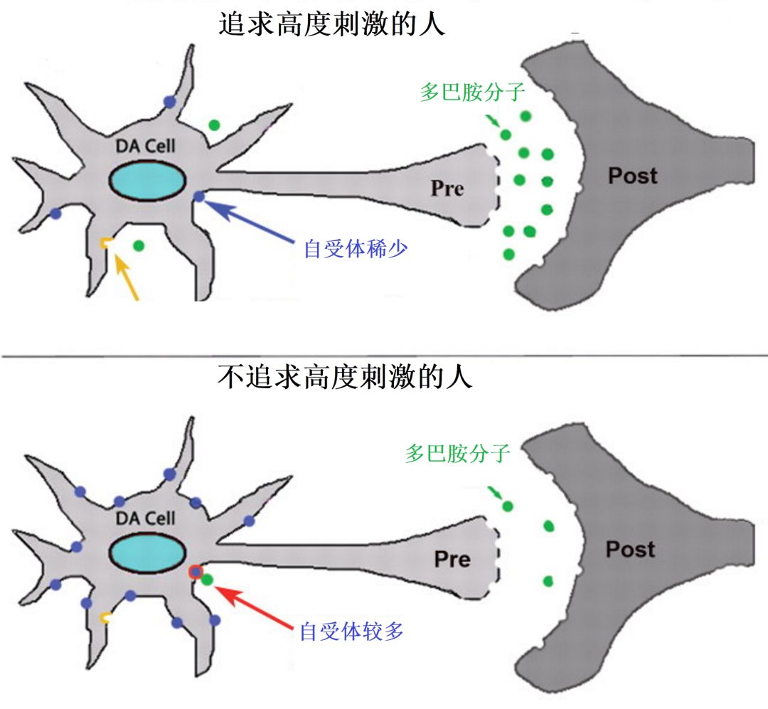 生命中难免无聊,人是世界上最无聊的动物?