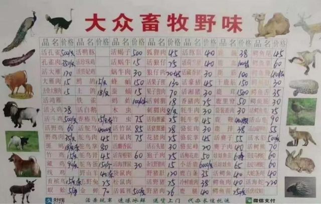 舌尖上的蝙蝠