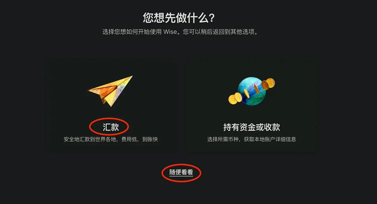 能够代替港卡的wise注册教程