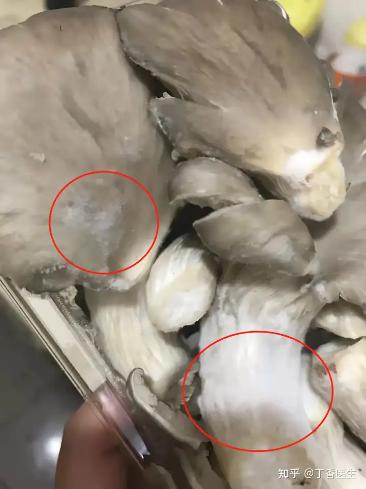 哪些食物放久了不能吃?