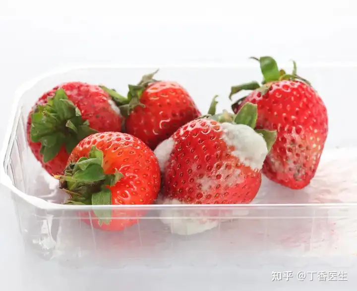 哪些食物放久了不能吃?